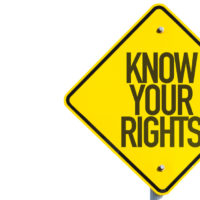 the yellow sign that reads know your rights